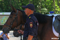Безопасность отдыхающих в парке туляков обеспечивают полицейские на лошадях и велосипедах, Фото: 8