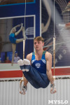 Тульский гимнаст Иван Шестаков, Фото: 12