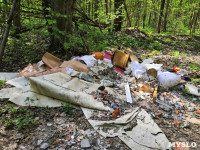 Туляки: Щегловская засека превращается в свалку мусора, Фото: 7