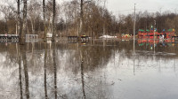 Затопленный Баташевский сад, Фото: 1