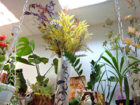 Магазин цветов, ИП Панова В.Е. , Фото: 3