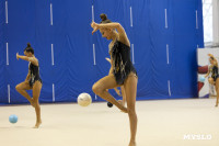 В Туле стартовало первенство Центрального федерального округа по художественной гимнастике, Фото: 26