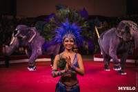 «Шоу Слонов» в Тульском цирке, Фото: 4