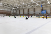 Следж-хоккей, Фото: 7