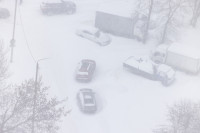 Тула в снежном плену: фоторепортаж с улиц города, Фото: 20