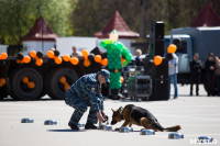 Принятие присяги полицейскими. 7.05.2015, Фото: 52