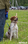 ХII Всероссийская выставка охотничьих собак, Фото: 35