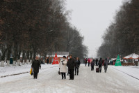 Тульские катки. Январь 2014, Фото: 4