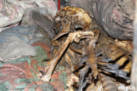 Скелет в доме на ул. К. Маркса (18+), Фото: 4