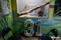 Тульский макак Министр отметил 31 день рождения, Фото: 1