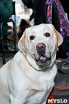 Выставка собак в Туле 26.01, Фото: 7