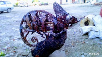 Железный хамелеон тульского умельца, Фото: 10