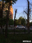 «Сушняк-2019 Тула». Городской хит-парад засохших деревьев, Фото: 128