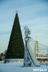 Новогодняя ёлка на площади Ленина, Фото: 11