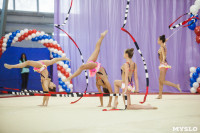Всероссийские соревнования по художественной гимнастике на призы Посевиной, Фото: 123