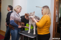Всероссийская выставка собак 2017, Фото: 7