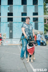 Всероссийская выставка собак в Туле, Фото: 6