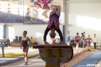 Первенство ЦФО по спортивной гимнастике среди  юниоров, Фото: 90