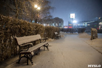 Зимняя сказка в Центральном парке, Фото: 3