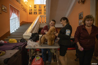 Выставка собак в Туле, Фото: 48