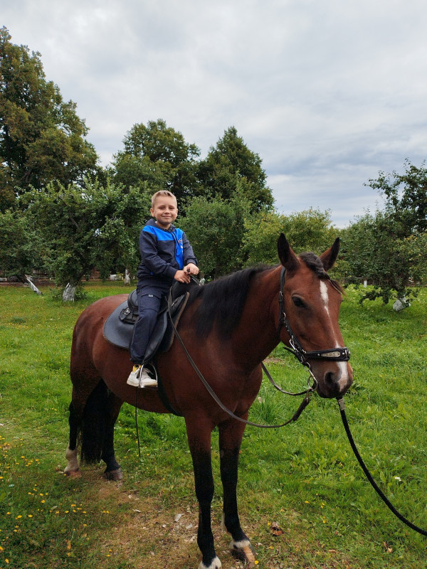 Любовь к конному спорту с детства