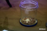 Коллекцию Музея обороны Тулы пополнили предметы с СВО, Фото: 53