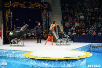 Цирк на воде «Остров сокровищ» в Туле: Здесь невозможное становится возможным, Фото: 84