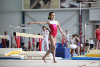 Соревнования по спортивной гимнастике на призы Заслуженных мастеров спорта , Фото: 53