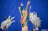 Соревнования по художественной гимнастике на призы благотворительного фонда «Земляки», Фото: 146