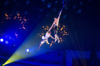 "Чудеса под Новый год" в Тульском цирке, Фото: 70