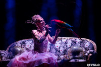 Шоу фонтанов «13 месяцев»: успей увидеть уникальную программу в Тульском цирке, Фото: 40