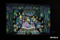 В тульском Фонде искусств открылась выставка, посвященная Майе Плисецкой, Фото: 14