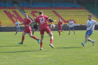 Звезды против чиновников, Фото: 46