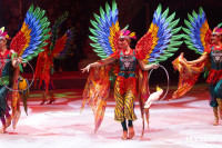 Цирковое шоу Жар птица, Фото: 64