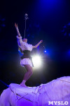 Хоровод в Тульском цирке, Фото: 112