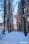 Снежное Поленово, Фото: 65