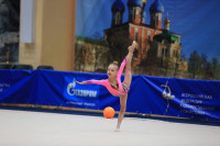 Тулячки завоевали медали на Всероссийских соревнованиях по художественной гимнастике, Фото: 8