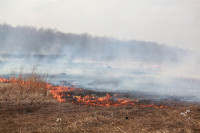 Возгорание сухой травы напротив ТЦ "Метро", 7.04.2014, Фото: 20