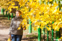 Золотая осень в Ясной Поляне, Фото: 68