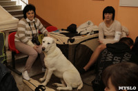 В Туле прошла Всероссийская выставка собак всех пород, Фото: 10