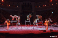 Дети в Тульском цирке, Фото: 15