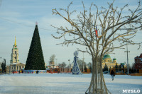 Новогодняя ёлка на площади Ленина, Фото: 1