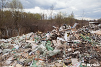 В Туле на берегу Тулицы обнаружен незаконный мусорный полигон, Фото: 29