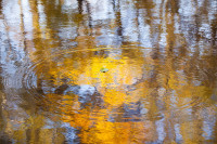, Фото: 57
