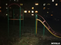 В Донском массово демонтировали детские площадки, Фото: 11