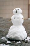 «Король и шут», Умка и женщина в дереве: туляки лепят снеговиков, Фото: 9