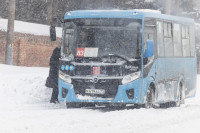 Тула в снежном плену: фоторепортаж с улиц города, Фото: 42