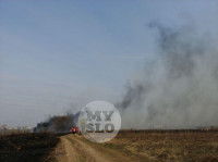 В Туле загорелось поле, Фото: 12