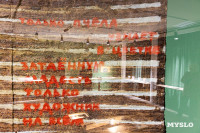 Диковинные «Антики» уже в Туле: в Нимфозориуме открылась выставка об «археологии повседневности», Фото: 14