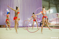 Всероссийские соревнования по художественной гимнастике на призы Посевиной, Фото: 114